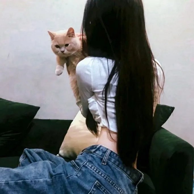才子佳人